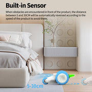 Rechargeable Interactive Cat Toy