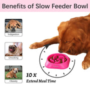 Interactive Dog Slow Feeder Bowl