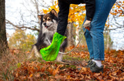 Compostable Dog Waste Bags